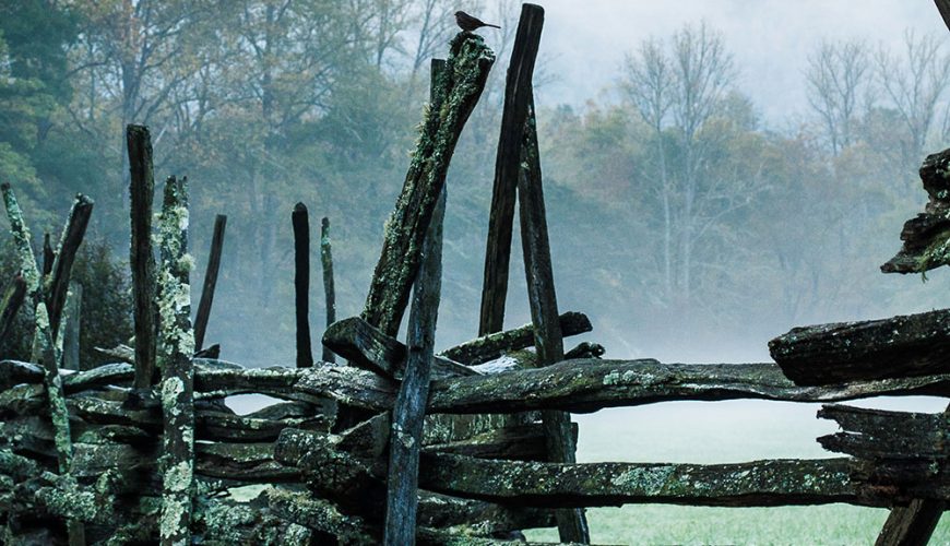 Ciudad destacada: Filadelfia