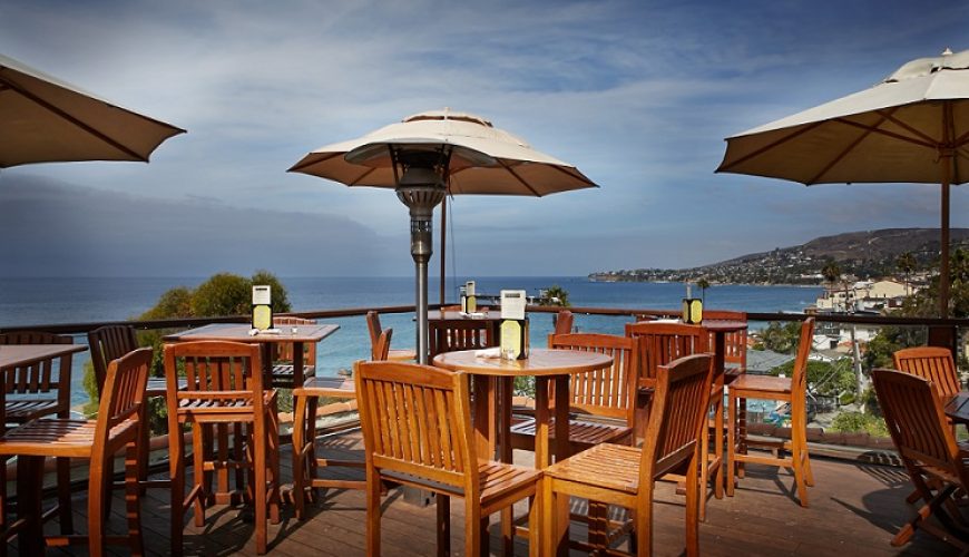 Caminar descalzo entre los tulipanes de Washington